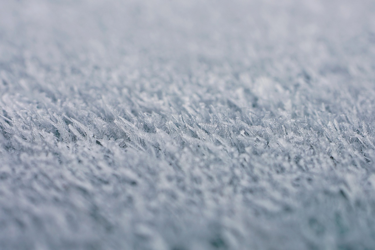DIY vs. Professional Roof Maintenance: What's Safe to Do