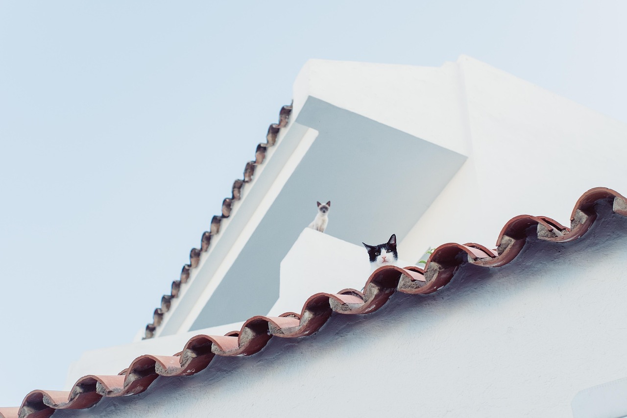 Boost Home Resale Value with RoofMaxx — No Replacement Needed
